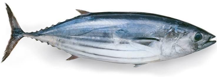 Marmitako